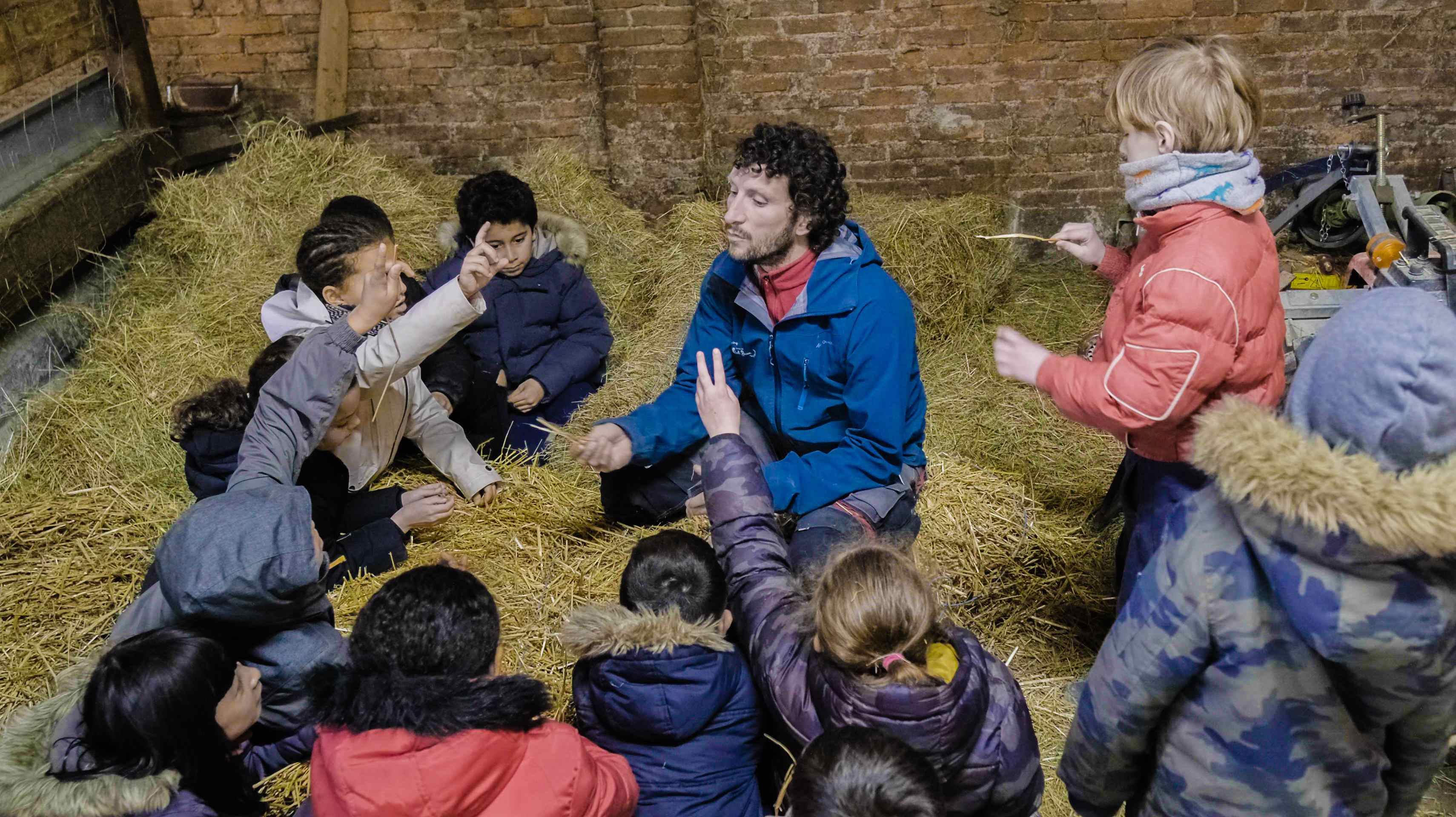 Petite graine de fermier - Image 1