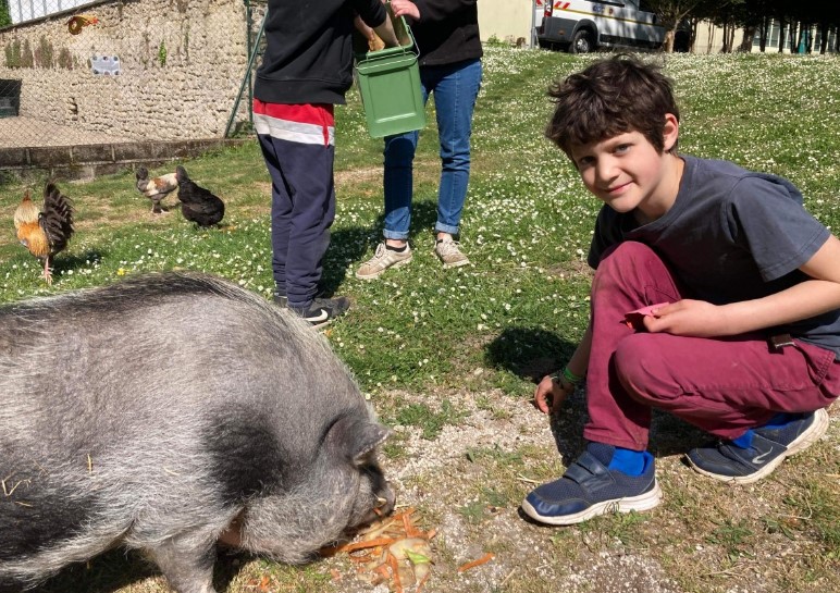Touchatou aventure été - Image 2