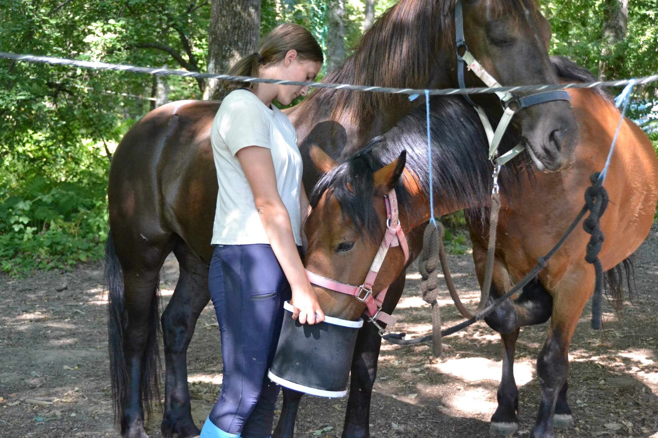 Colonie Equit'Adventure - cavaliers confirmés - Image 2