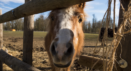 Ma première colo au château - Image 2