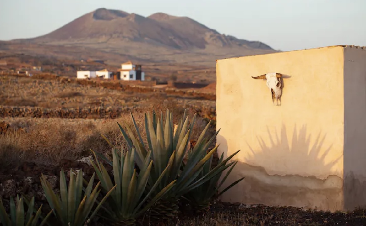 Camp linguistique ados - Image 3