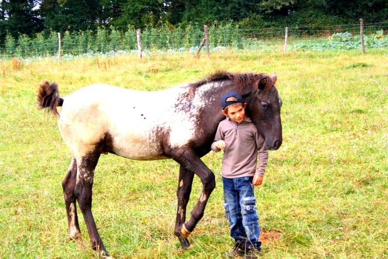 Les petits trappeurs - Image 3