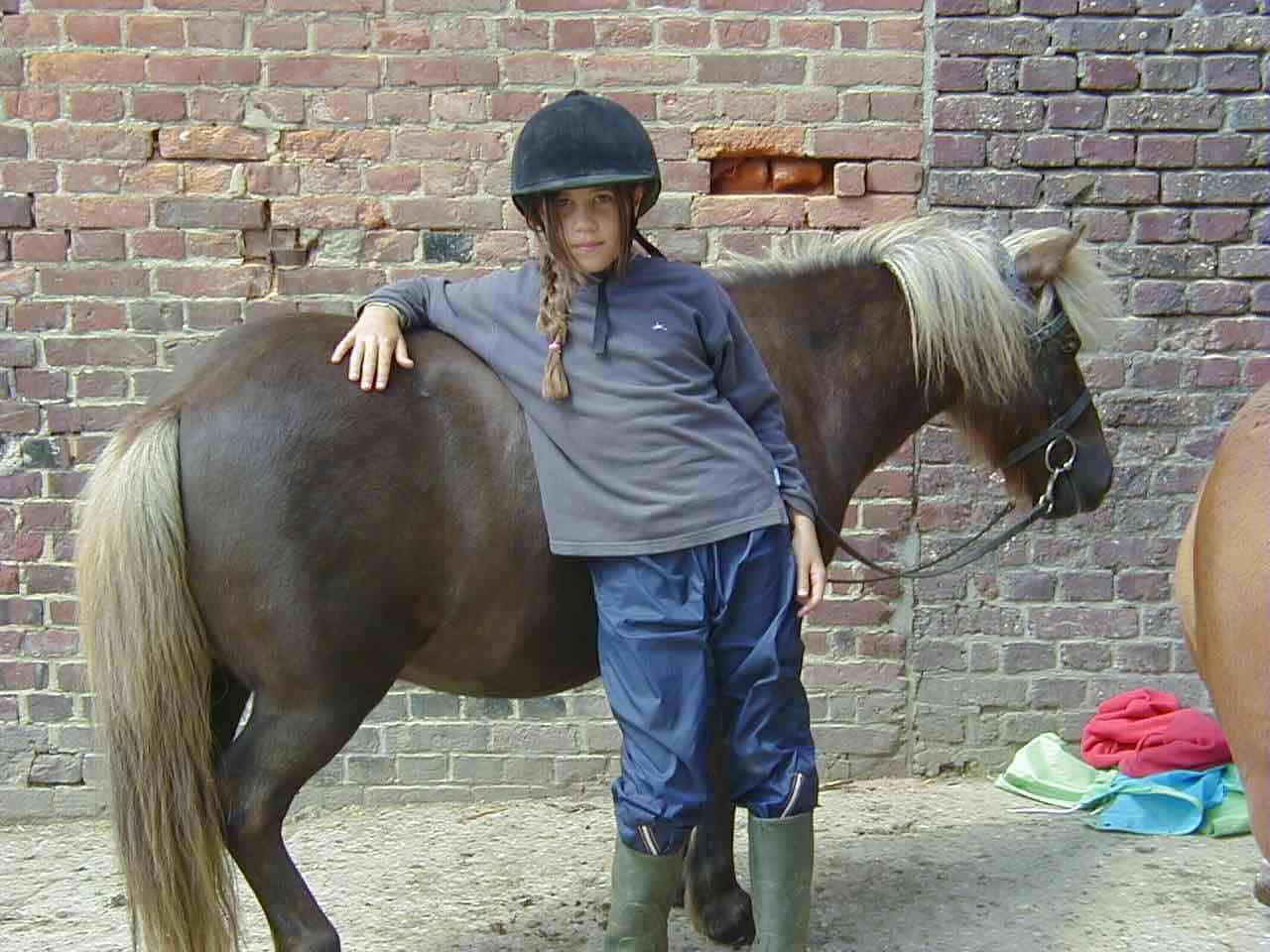 Colonie de vacances poney tendresse - Image 2