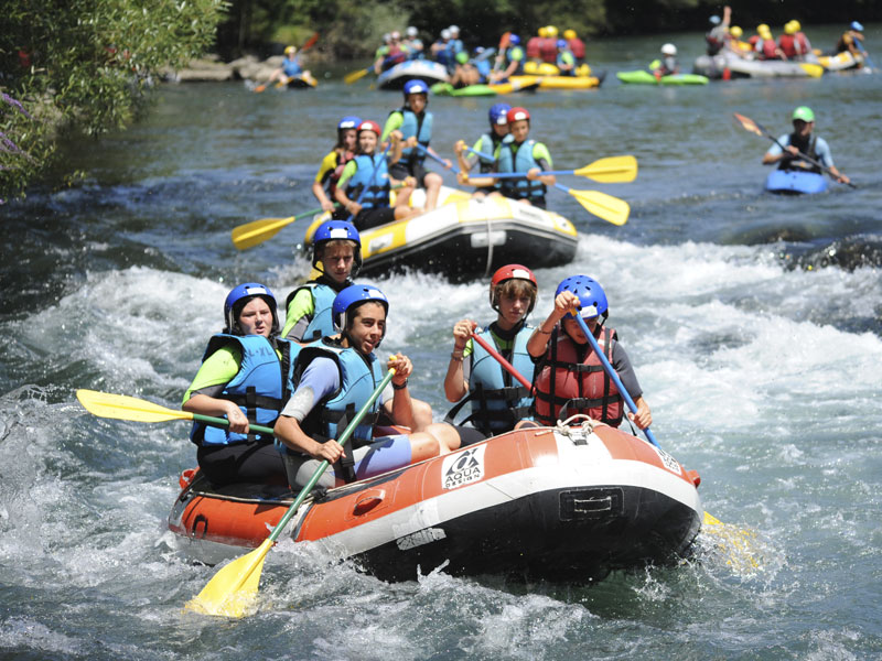 Colonie mix mountain  - Image 3