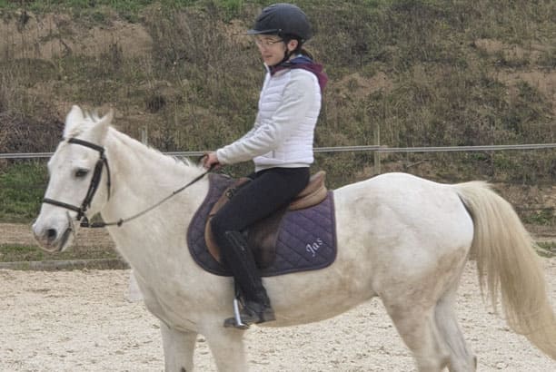 Stage équestre intensif  - Image 2