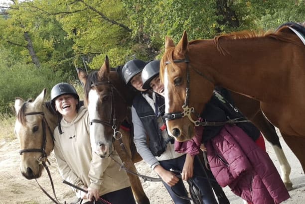 Stage équestre intensif  - Image 3