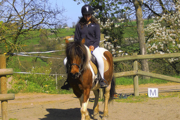 Séjour équitation loisir ( PRINTEMPS) - Image 2