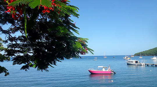 Découvrez la Guadeloupe - Image 2