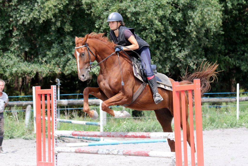 Équitation et cours d’anglais intensif - Image 1