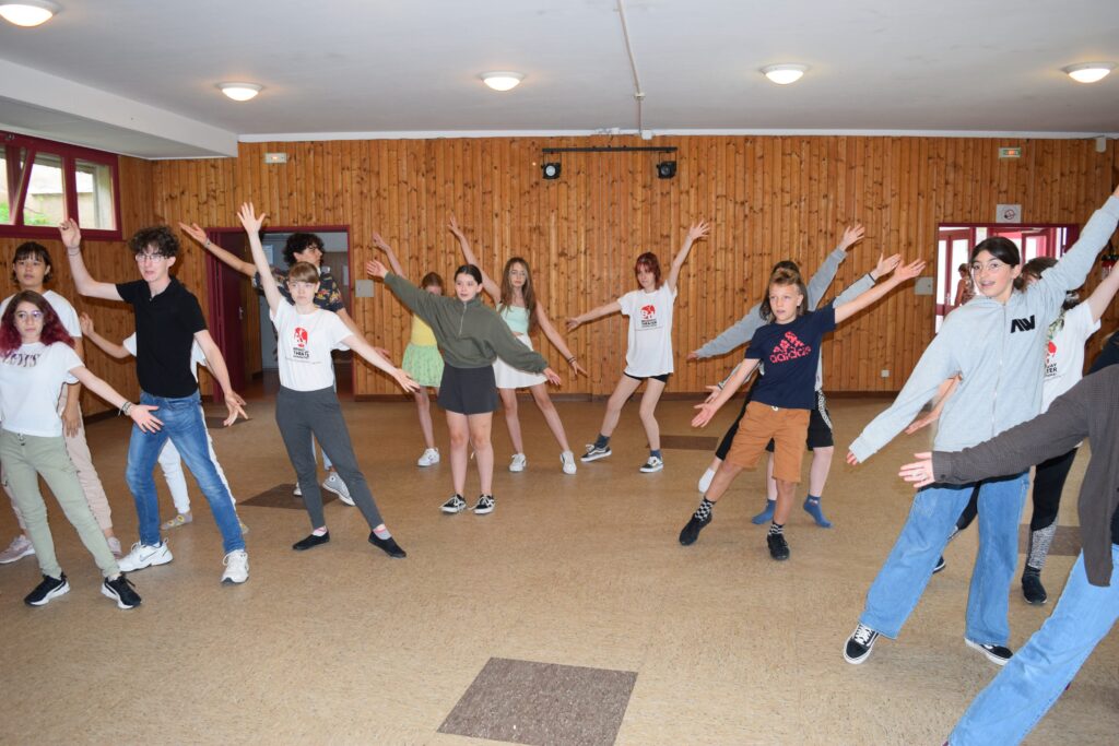 Camp d’été en anglais dans les Vosges - Image 1