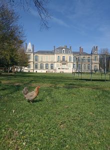 Oui chef au château (printemps) - Image 1