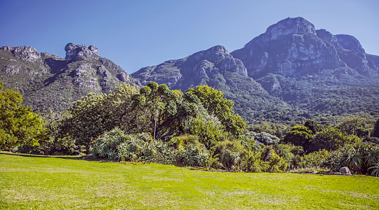 Explorez l'Afrique du Sud - Image 3