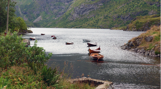 Explorez la Norvège - Image 2