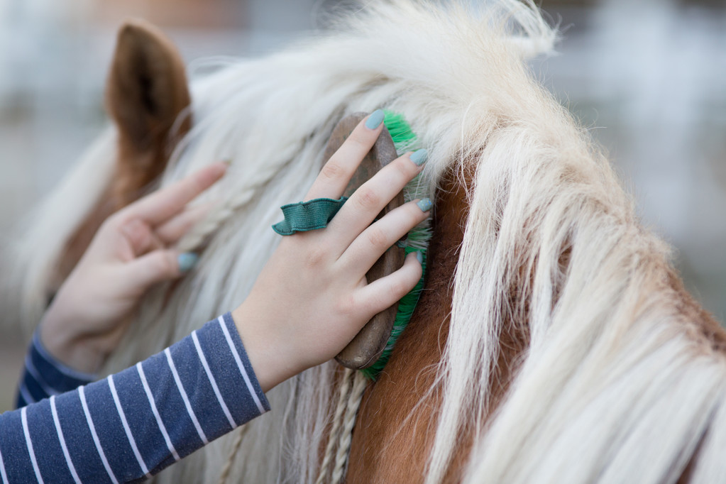 Stage équitation en formule intensive - Image 1