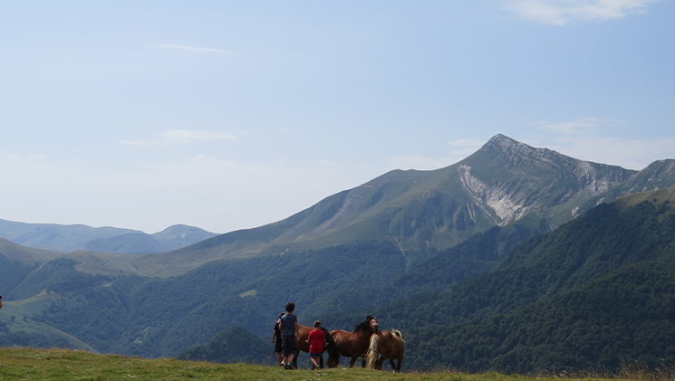 Escapade Nature au coeur de la fôrét d'Iraty - Image 2