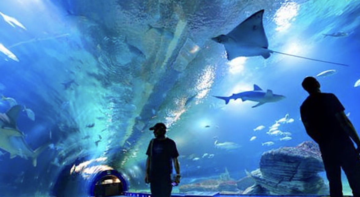 Séjour évasion à Valencia - Image 3