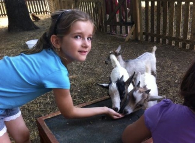 Mystères et Sorcellerie  - Image 3