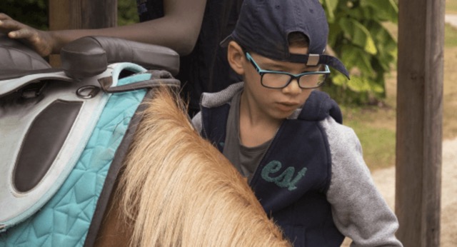 Passion équitation hiver au château - Image 3