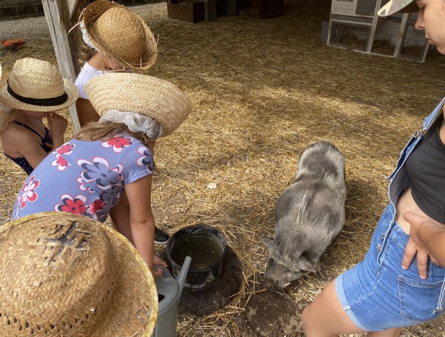 Touchatou aventure hiver - Image 2