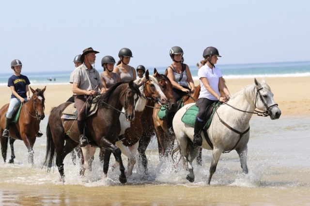 Équitation et cours d’anglais classique - Image 3