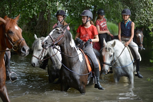 Colonie équitation Perfectionnement technique Galop 4 et plus - Image 3
