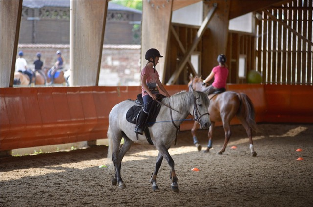 Séjour Poney 6-9ans à 2h de Lille/Paris - Image 3