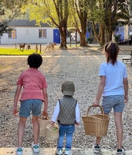 Stage progression - Image 2