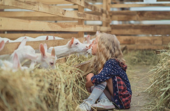 Colo équitation, art et vie à la ferme ados - Image 2