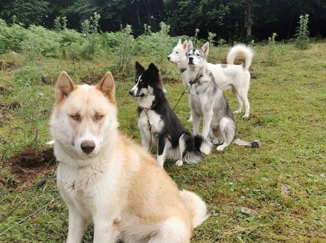 Colo sportive à la Montagne  - Image 3