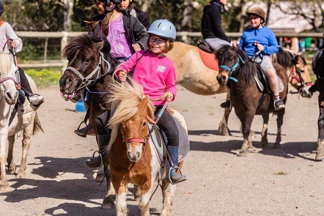 Colonie de vacances 100% équitation ados - Image 3