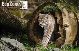 Colonie de vacances Ecozonia - Image 1