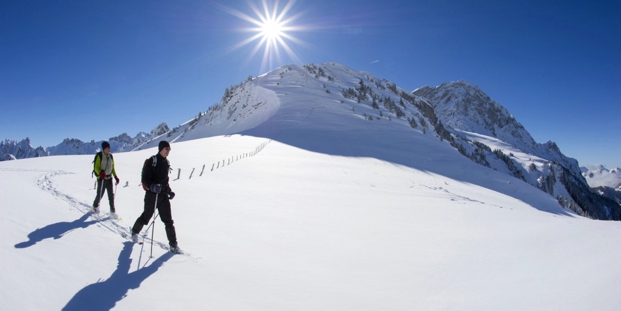 Colonie neige et montagne  - Image 2