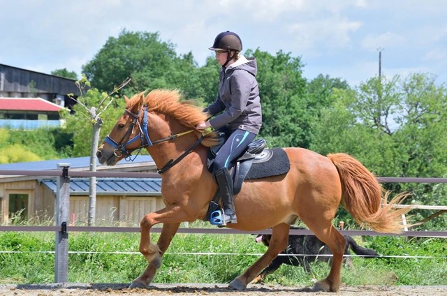 Aventure équestre dans le Gers - Image 1