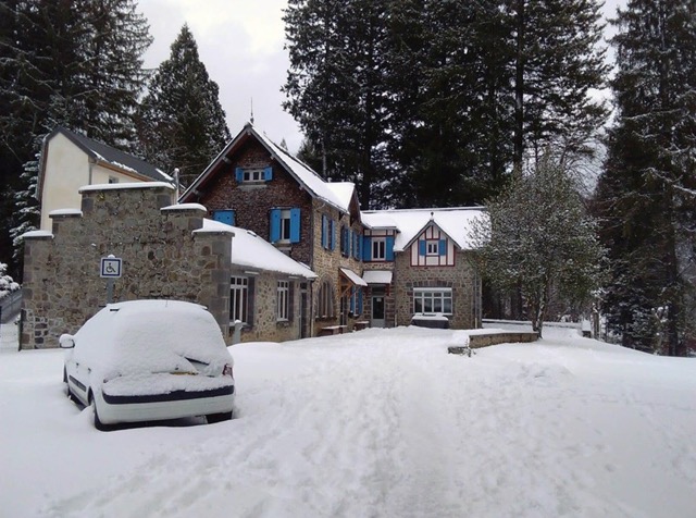 Colonie de vacances hiver Multi glisse et chien de traineau - Image 2