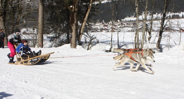 Biathlon et chiens de traîneaux en Abondance - Image 1