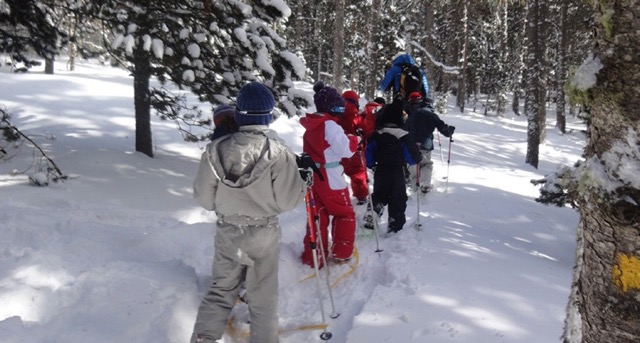Chiens de traîneaux et ski alpin dans les Pyrénées - Image 1