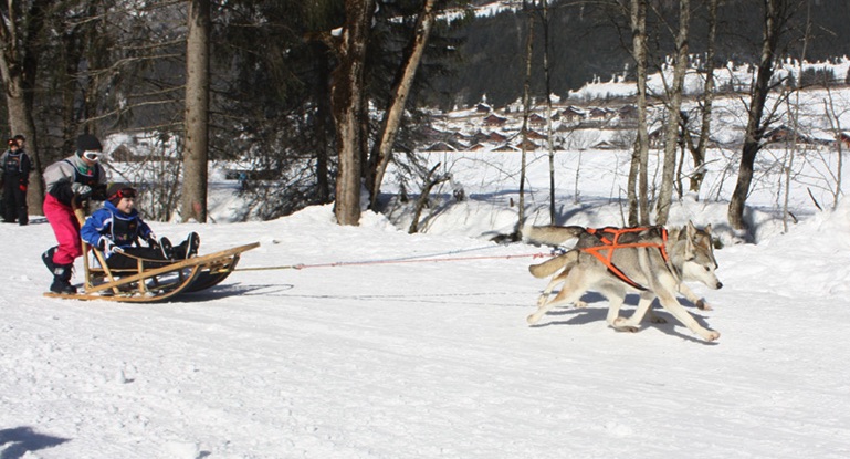 Les Aventuriers d’Abondance - Image 2