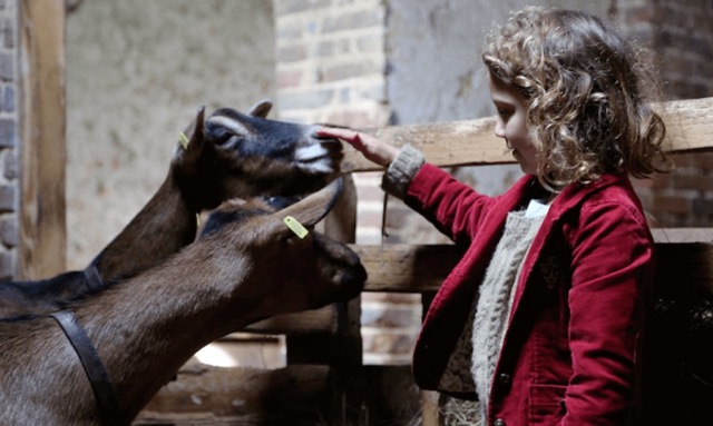 Colo Atelier des cuisiniers junior - Image 1
