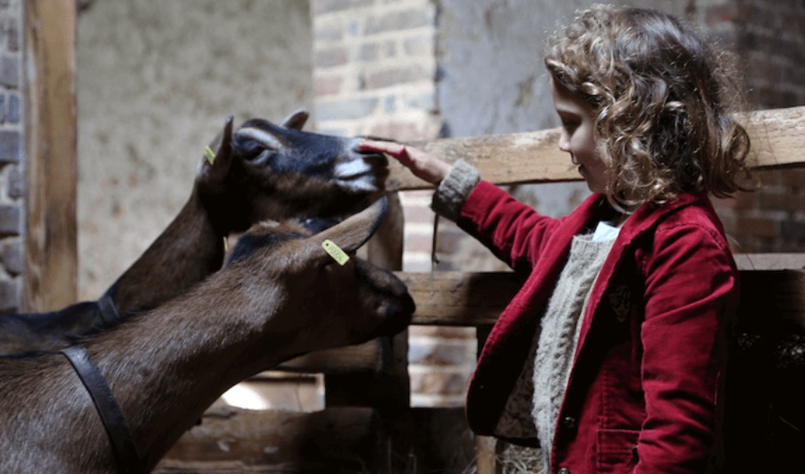 Atelier des cuisiniers 6/12ans - Image 2