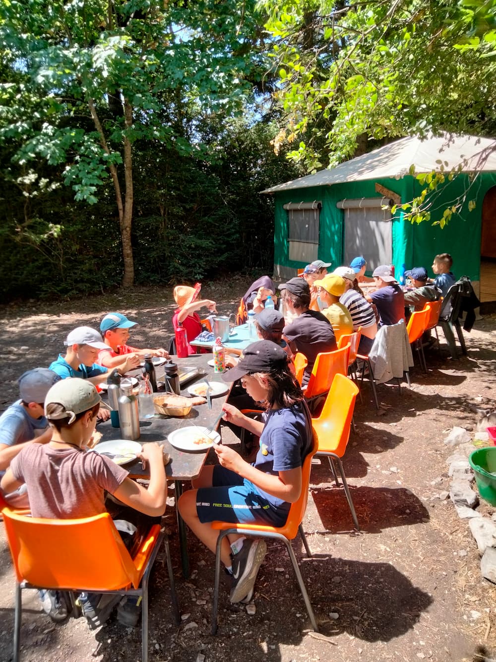 Robinson des bois - Image 1