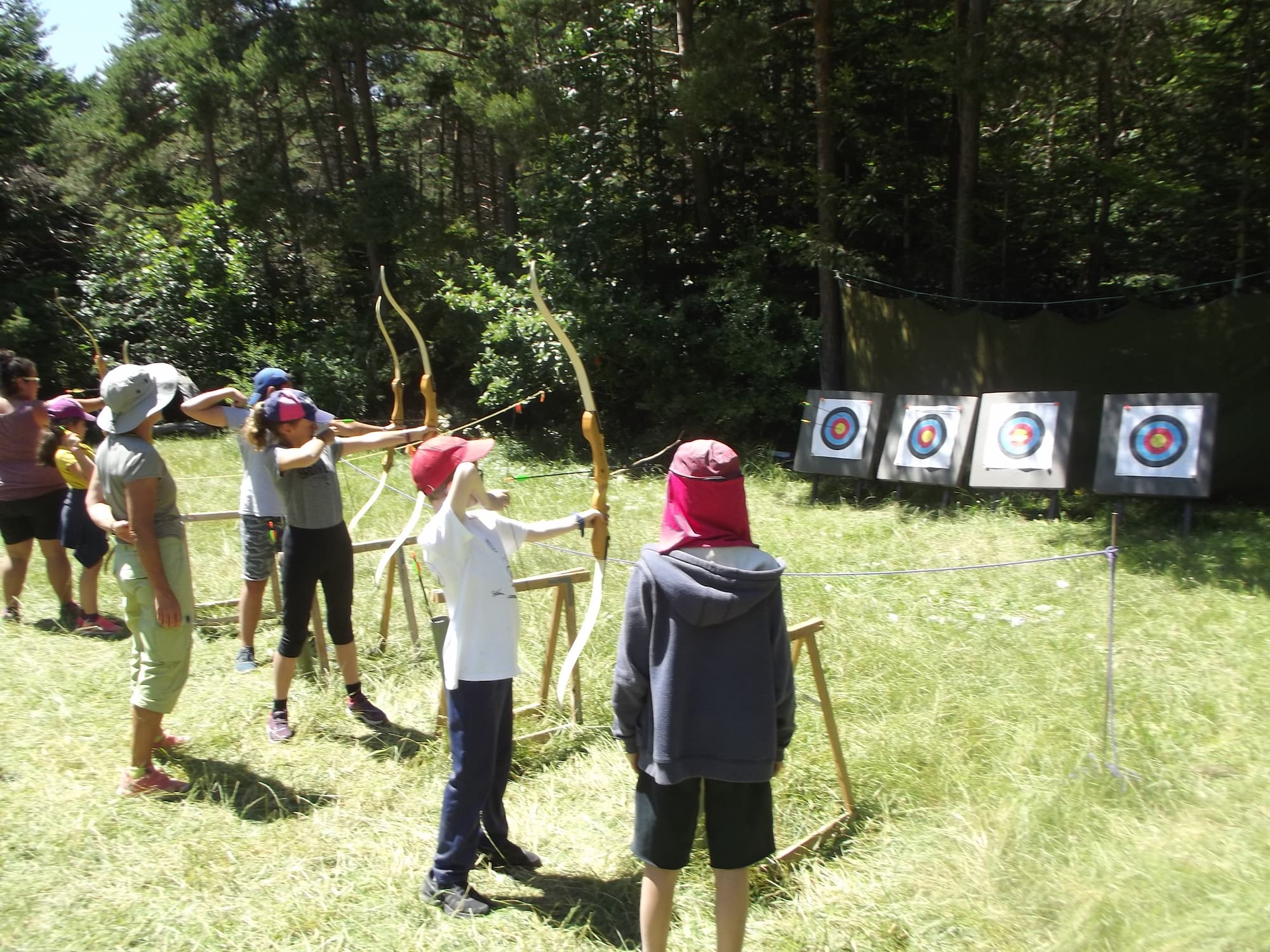 Robinson des bois - Image 2