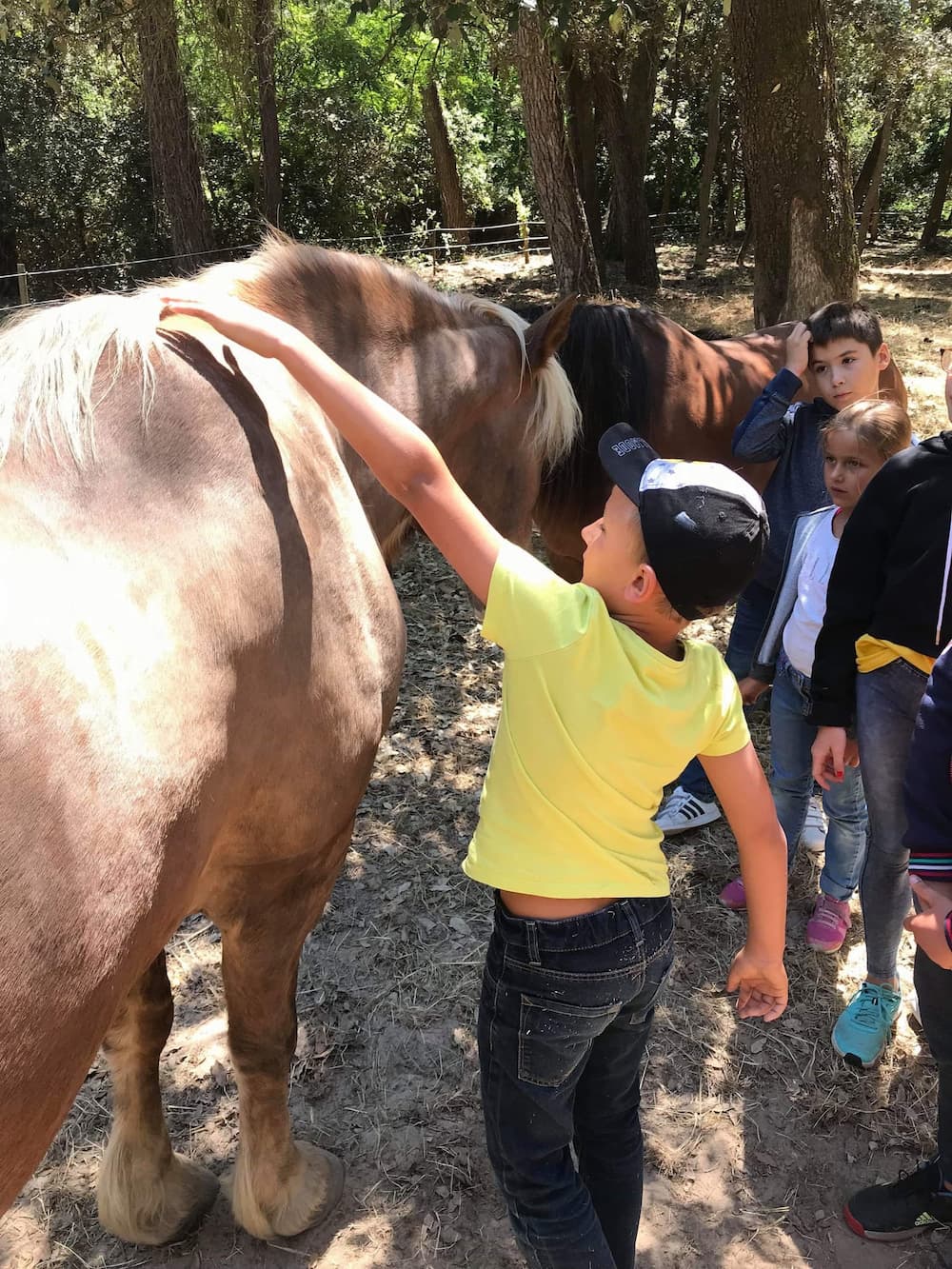 Vent d'évasion - Image 2