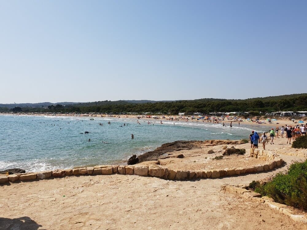 Séjour linguistique anglais en Espagne - Image 1