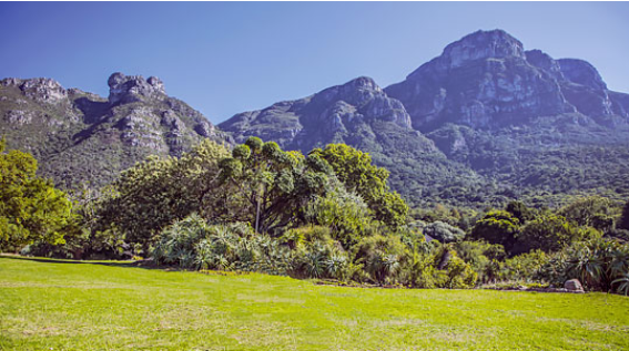 Afrique du Sud - Image 1