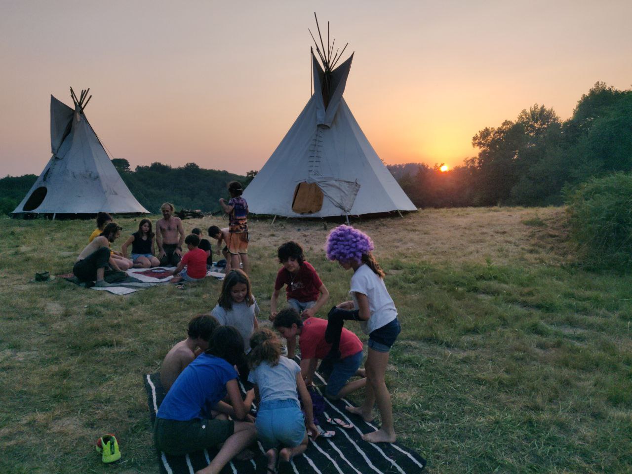 Les enfants sauvages - Image 1