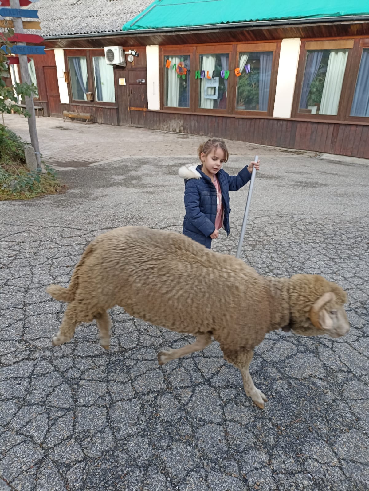 Mon petit poney ! - Image 1