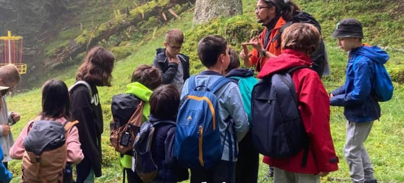 Trappeur des Pyrénées - Image 3