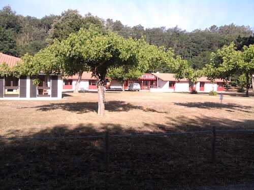 J'apprends à nager à Mimizan - Image 2