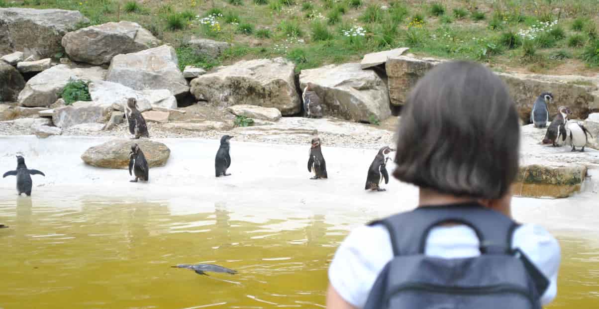 Les soigneurs en herbe - Image 1