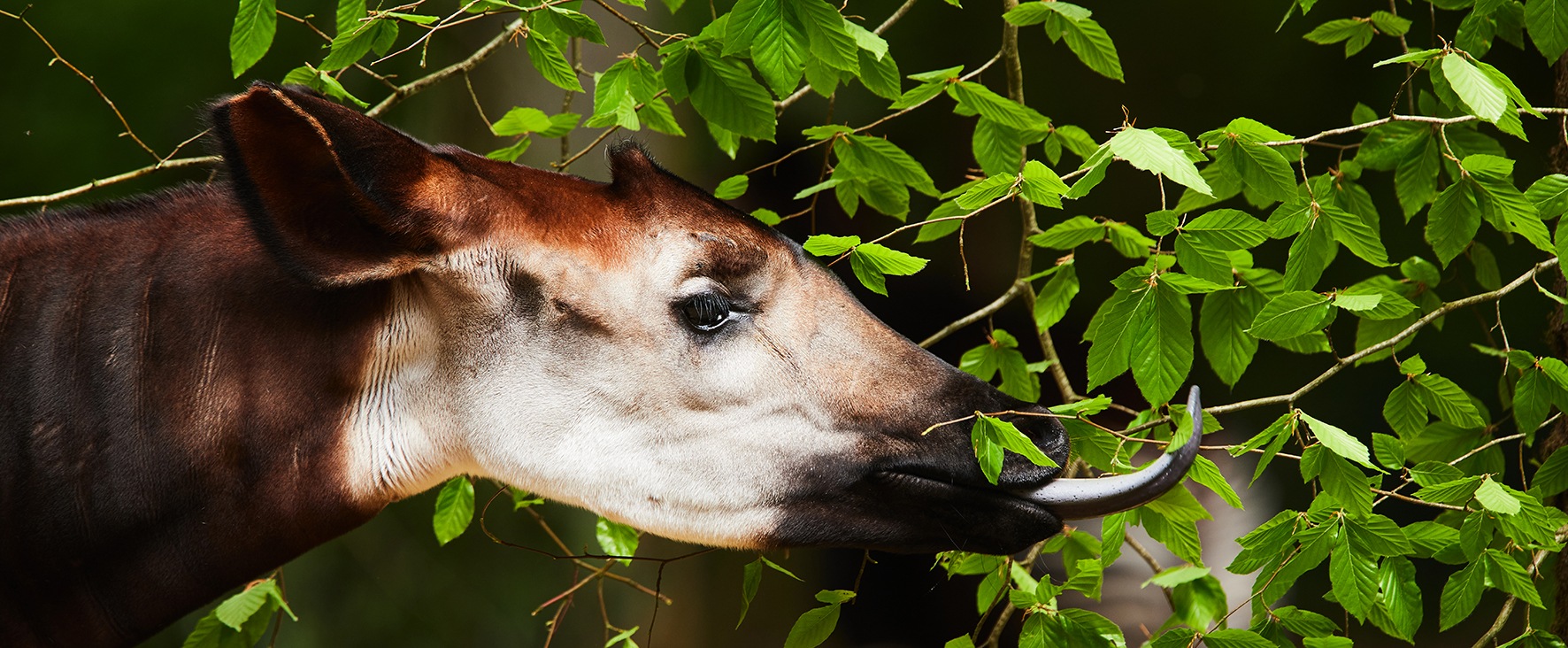 P’tite colo au parc 5/7 ans - Image 2